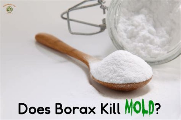 Would borax kill you?