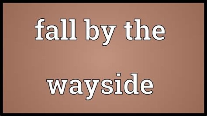 Would fall by the wayside meaning?