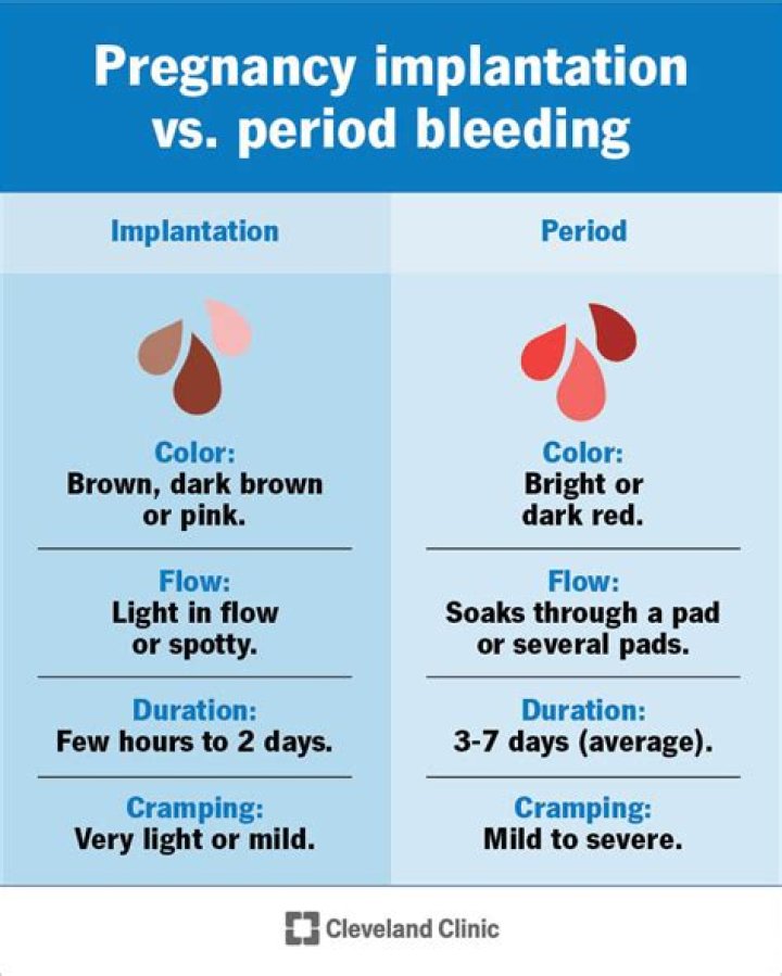 Would implantation bleeding have clots?